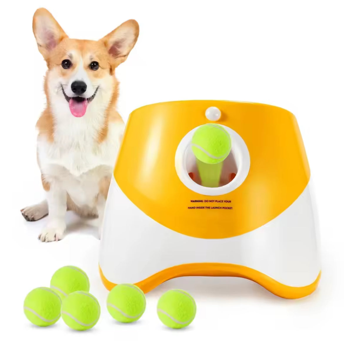 PawBall - Automatic Ball Launcher