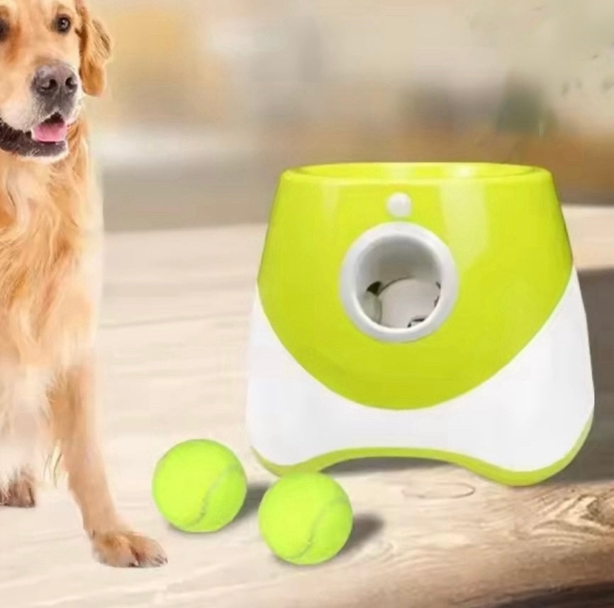 PawBall - Automatic Ball Launcher